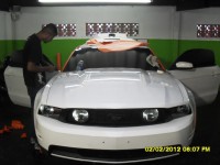 /album/galeria-de-fotos-pagina-inicial/mustang-branco-p-laranja-2-jpg/